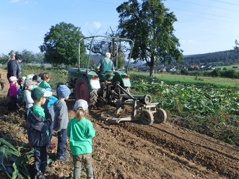 Ausflug zum Kartoffelacker